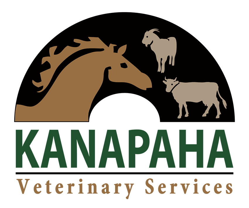 Kanapaha Veterinary Services