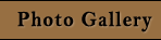 Photo Gallery