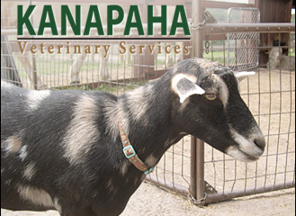 Kanapaha Veterinary Services