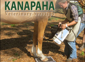 Kanapaha Veterinary Services