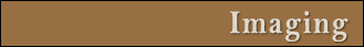 Imaging