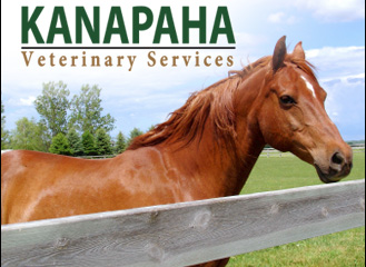 Kanapaha Veterinary Services