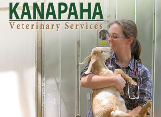 Kanapaha Veterinary Services